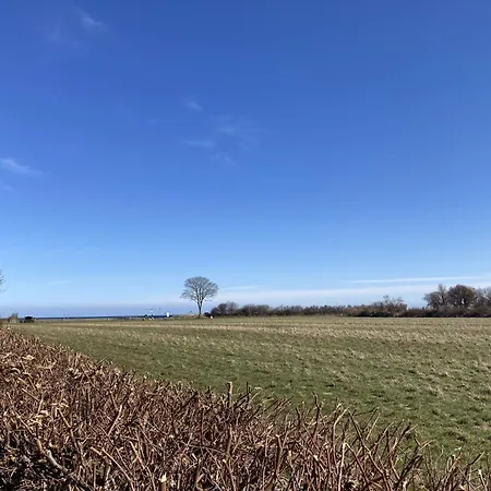 Luv- Am Kampland 20 * דאהמה